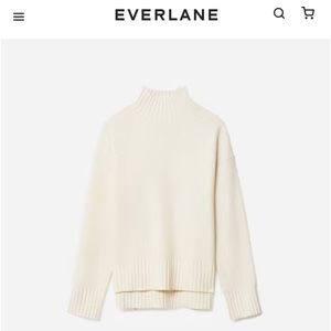 Everlane Stoopwaffel Cashmere Turtleneck